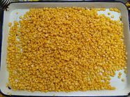 柔らかい全穀粒は涼しく、乾燥した場所で貯えられた黄色いトウモロコシを缶詰にした